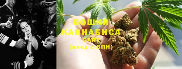 сатива Щигры