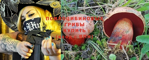 мдпв Лихославль