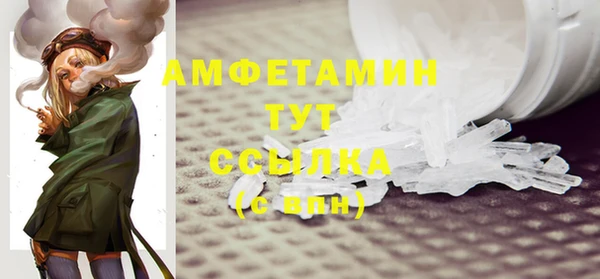 индика Щёлкино