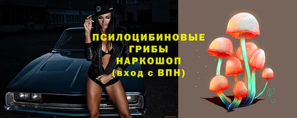 мдпв Лихославль