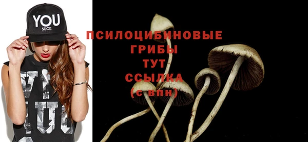 дурь Липки