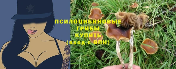 героин Ладушкин