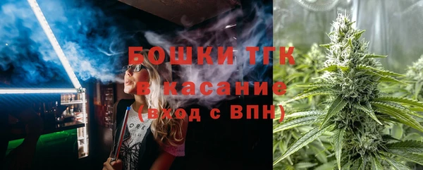 гашик Тихвин