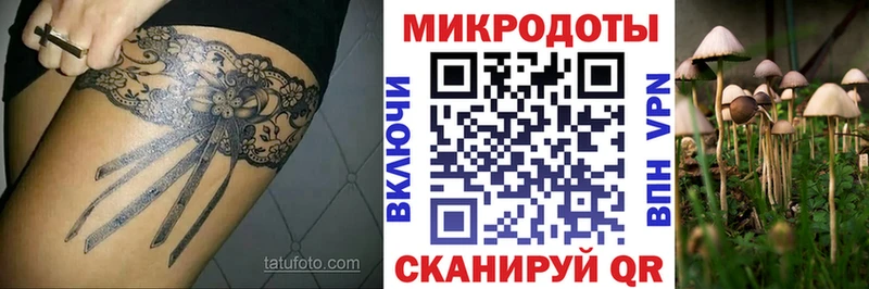 Галлюциногенные грибы прущие грибы  Вилюйск 
